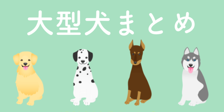大型犬も中身は従順で優しくてかわいい!